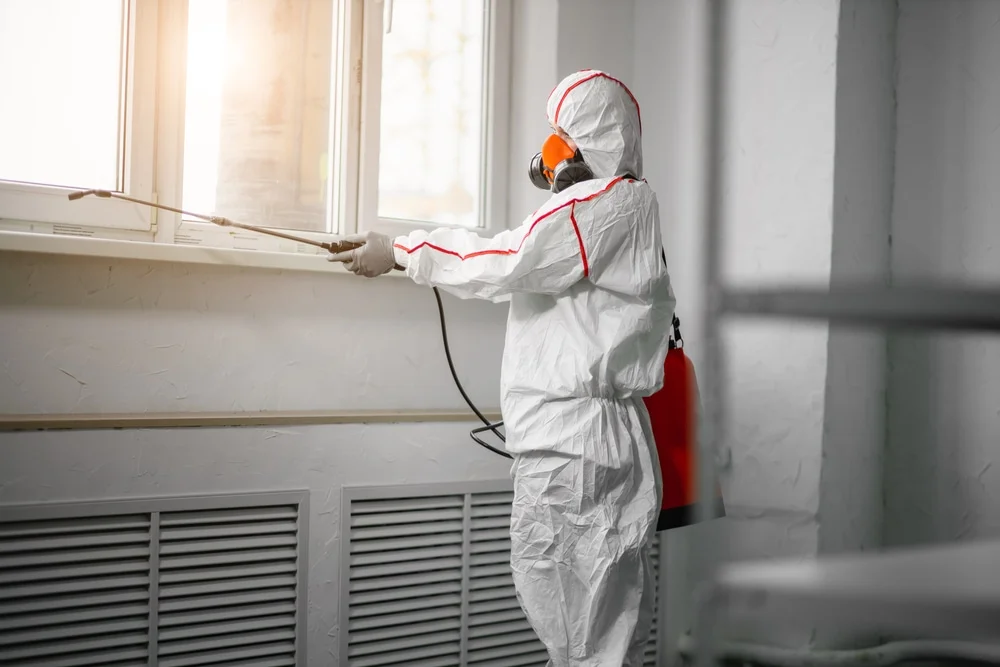 Professional mold remediation services in Maybee, MI